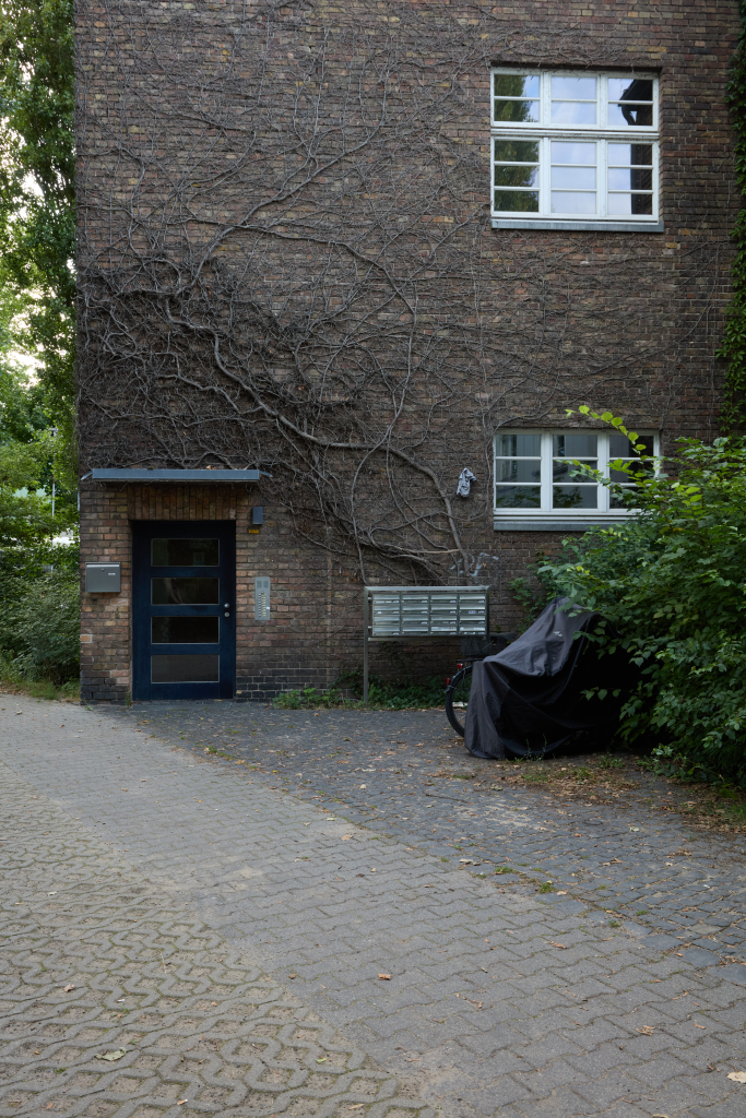 Eingang zu einem mit abgestorbenem Kletterefeu bewachsenen Wohnhaus in Berlin.