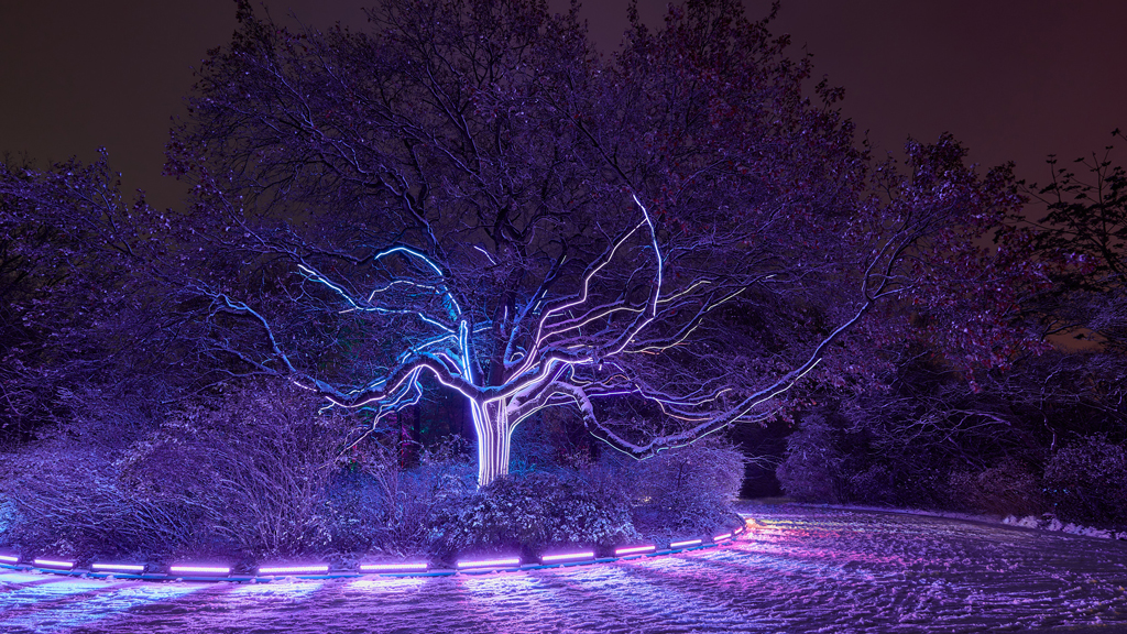 Long exposure capturing a glowing light installation on a tree at the 2023 Christmas Fair in Tierpark Berlin.