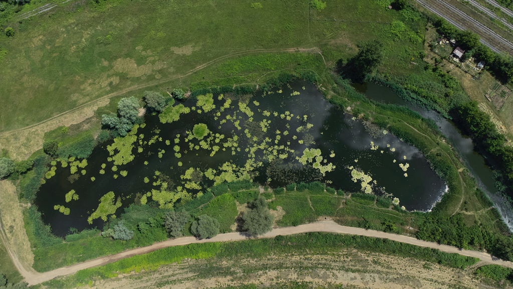 Aerial view of Serches Lake surrounded by lush green foliage near Sighisoara, Romania.